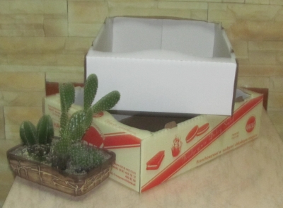 Pudełko, karton składany z tektury trójwarstwowej, jednostronnie białej