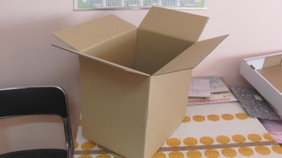 Opakowanie tekturowe, karton klapowy klejony, wykonany z tektury trójwarstwowej szarej