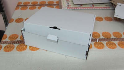 Kartonik w systemie samo składalnym wykonany z mikrofali jednostronnie białej