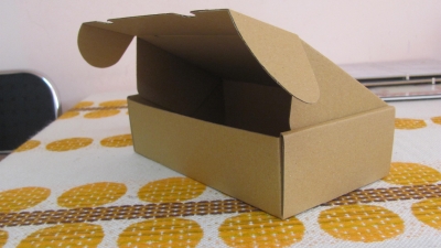 Karton trójwarstwowy, w systemie samoskładalnym wykonany z mikrofali szarej