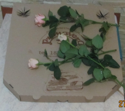 opakowanie tekturowe, pudełka na pizze