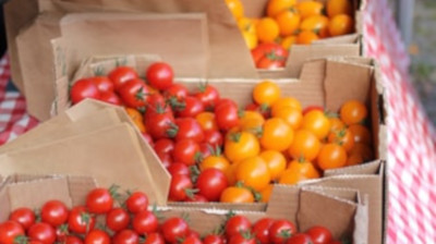 Opakowanie tekturowe na owoce i warzywa